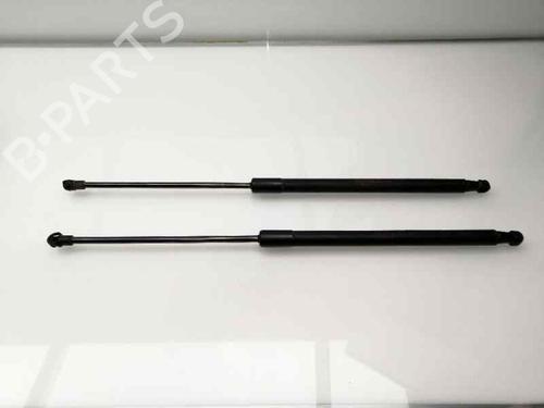 Tailgate lift support NISSAN QASHQAI I (J10, NJ10) 1.6 | BP23936498C138 