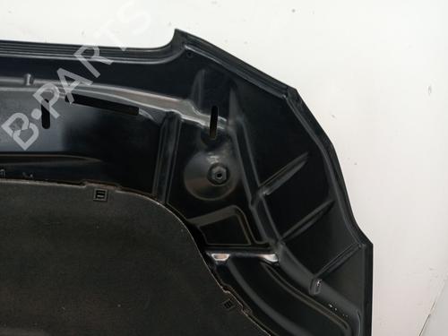 Hood LANCIA DELTA III (844_) 2.0 D Multijet (844.AXD1A, 844.AXM1A) | BP23360424C1 