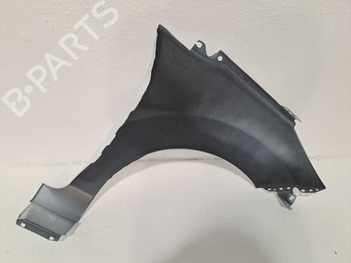 Left front fenders FORD FIESTA VI (CB1, CCN) 1.25 | BP24402623C41 
