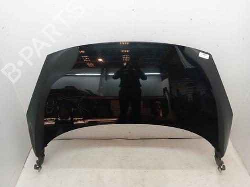 Used Hood RENAULT SCÉNIC III (JZ0/1_) 1.5 dCi (110 hp) 23349482