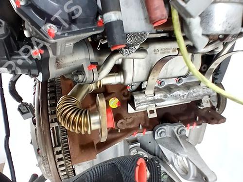 Engine NISSAN JUKE (F15) 1.5 dCi | BP30477607M1 - Image 5