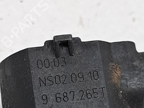 Electronic module RENAULT MEGANE III Grandtour (KZ0/1) 1.9 dCi (KZ0J, KZ0N, KZ1S) | BP28975505M83 