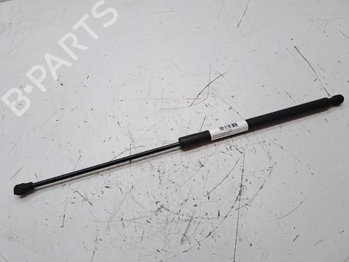 Used Hood lift support DACIA SANDERO II 1.0 SCe 75 (B8JC, B8JD, B8NC) (73 hp) 23974943