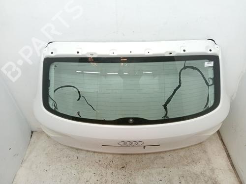 Tailgate AUDI Q5 (8RB) 2.0 TDI quattro | BP24951019C6 