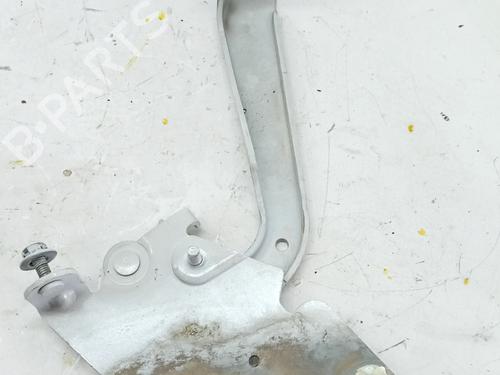 Used Hinge/Door check strap RENAULT MEGANE III Grandtour (KZ0/1) 1.5 dCi (KZ09, KZ0D, KZ1G, KZ29, KZ14, KZ1W, KZ10, KZ1F,... (110 hp) 32312496