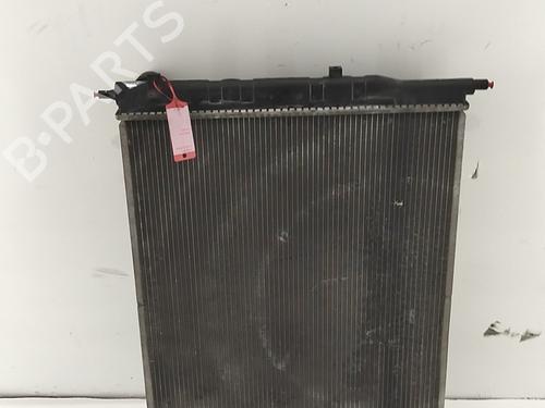 Water radiator DR DR 6.0 SUV 1.5 | BP38748251M31 - Image 5