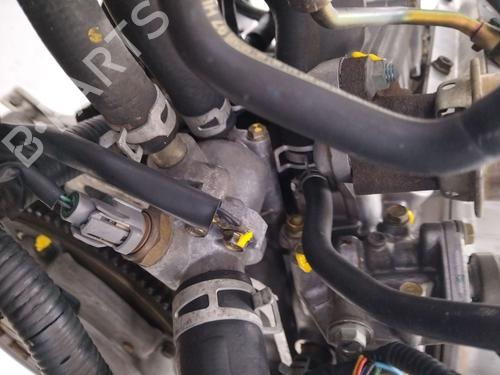 Engine FORD FIESTA VII (HJ, HF) 1.0 EcoBoost | BP24109219M1 