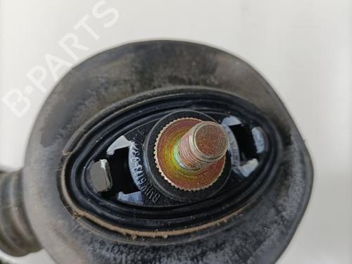 Cable BMW X5 (E53) 3.0 d | BP25455997E12 