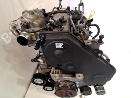 Motor FORD FOCUS II (DA_, HCP, DP) 1.8 TDCi | BP29558533M1 