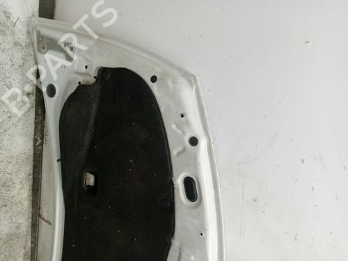 Hood RENAULT CLIO III (BR0/1, CR0/1) 1.5 dCi (BR17, CR17) | BP23374545C1 