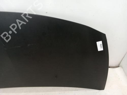 Hood RENAULT CLIO III (BR0/1, CR0/1) 1.5 dCi (BR17, CR17) | BP23357523C1 