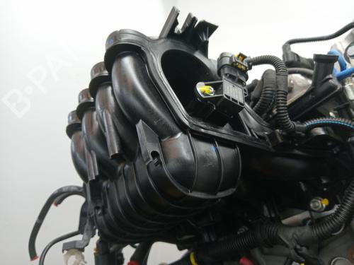 Engine FIAT PANDA (312_, 319_) 1.2 (312PXA1A) | BP23355585M1 