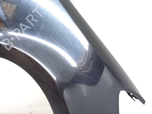 Parafango anteriore destro Parafango anteriore destro RENAULT CLIO III (BR0/1, CR0/1) 1.6 16V (BR05, BR0B, BR0Y, BR15, BR1J, BR1M, BR1Y, CR0B,... (112 hp) 36008067 36008067