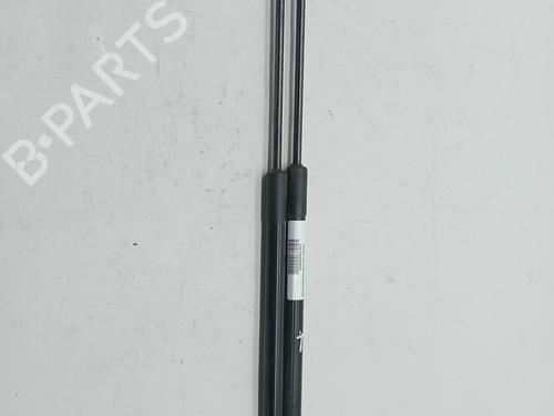 Used Tailgate lift support SKODA OCTAVIA II (1Z3) 1.6 TDI (105 hp) 23351472