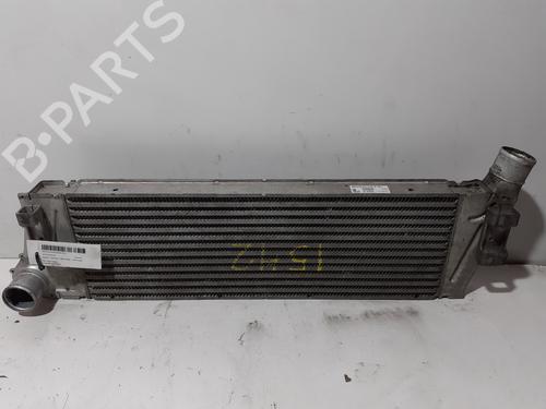 Intercooler RENAULT SCÉNIC II (JM0/1_) 1.5 dCi (JM0F) (82 hp) 25987727