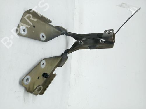 Hinge/Door check strap CITROËN C3 I (FC_, FN_) 1.4 HDi | BP24108940C146 