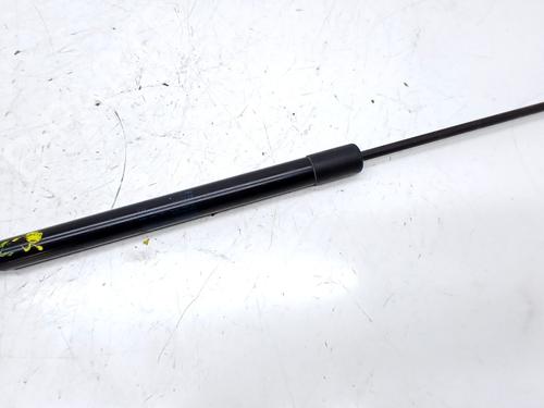 Gasdæmper bagklap Gasdæmper bagklap VW TIGUAN (5N_) 2.0 TDI (110 hp) 34154097 34154097