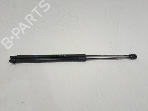 Used Tailgate lift support FORD GRAND C-MAX (DXA/CB7, DXA/CEU) 1.6 TDCi (115 hp) 24219423