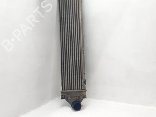Used Intercooler Intercooler MERCEDES-BENZ SLK (R171) 200 Kompressor (171.442) (163 hp) 34537530 34537530