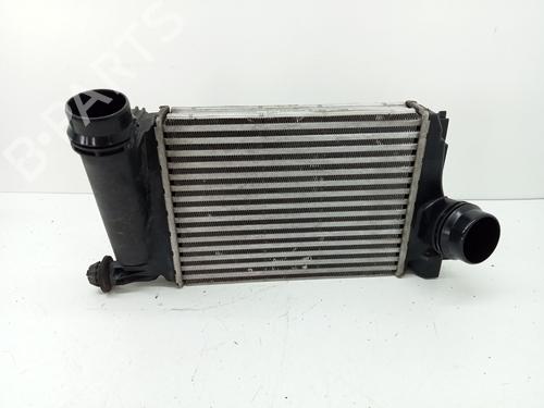 Intercooler NISSAN QASHQAI II (J11, J11_) 1.2 DIG-T | BP28975239M30 