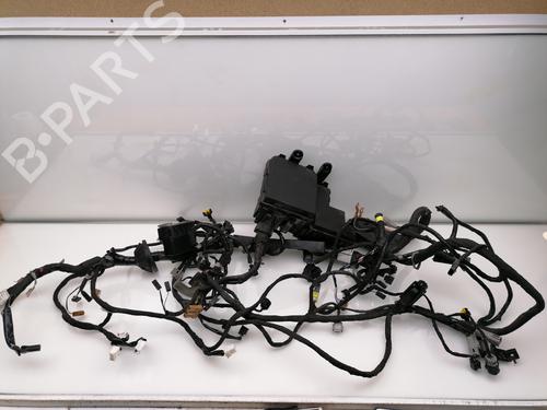 Used Battery NISSAN QASHQAI II (J11, J11_) 1.6 dCi ALL MODE 4x4-i (130 hp) 24140110
