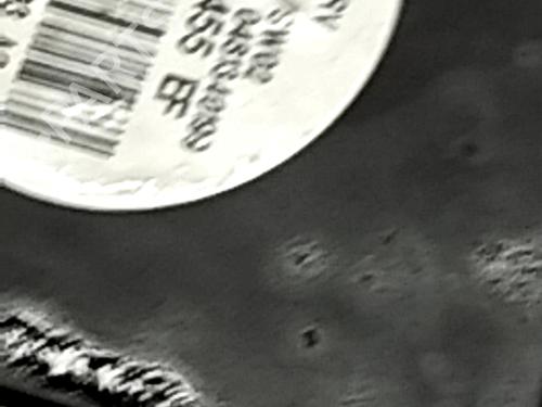 Radiator fan SEAT LEON (1P1) 1.9 TDI | BP31035912M35