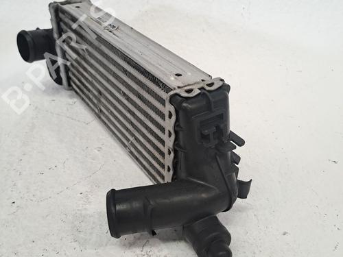 Intercooler MINI MINI (R50, R53) One D | BP27098978M30 