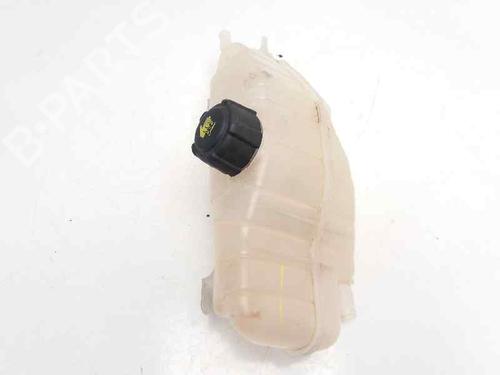 Expansion tank RENAULT CLIO III (BR0/1, CR0/1) 1.5 dCi | BP23418660C120 