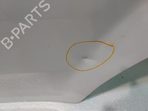 Used Left rear door FIAT GRANDE PUNTO (199_) 1.3 D Multijet (75 hp) 24925709