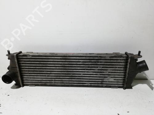 Intercooler RENAULT TRAFIC II Bus (JL) 2.0 dCi 115 (JL00, JL01, JL0H, JL0M, JL0U) | BP26539237M30 