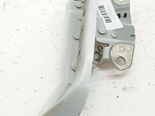 Used Hinge/Door check strap Hinge/Door check strap VW TIGUAN (AD1, AX1) 2.0 TDI (150 hp) 36036644 36036644