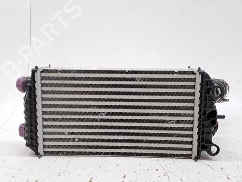 Intercooler PEUGEOT 2008 II (UD_, US_, UY_, UJ_, UR_, UC_) 1.2 PureTech 100 (USHNK) | BP27653302M30 