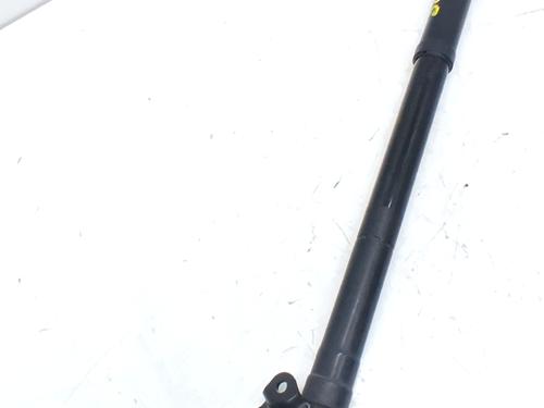 tailgate-lift-support-lexus-nx-_z1_-2014-32106726 main image