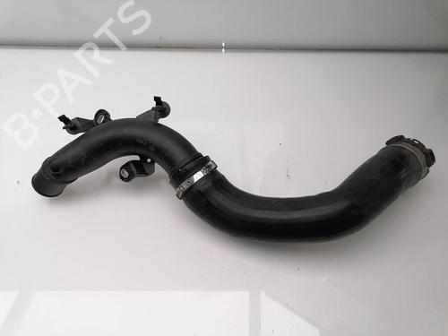 Rør DACIA SANDERO II TCe 90 (B8M1, B8MA, B8AC) | BP23939697M125