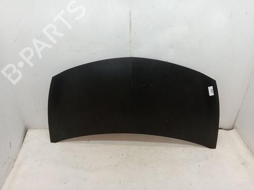 Used Hood RENAULT CLIO III (BR0/1, CR0/1) 1.5 dCi (BR17, CR17) (86 hp) 23357523