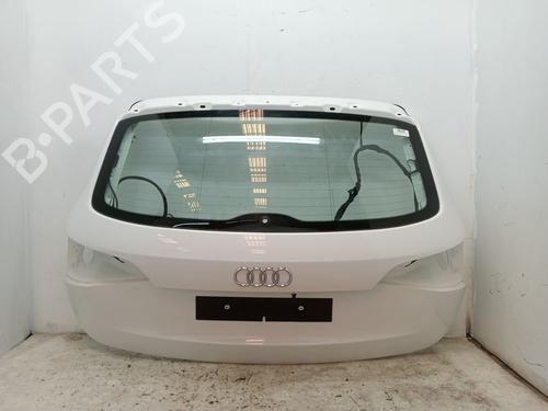 Tailgate AUDI Q5 (8RB) 2.0 TDI quattro | BP24951019C6 