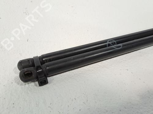 Gassdemper Bakluke FORD C-MAX II (DXA/CB7, DXA/CEU) 1.0 EcoBoost (125 hp) 23942560