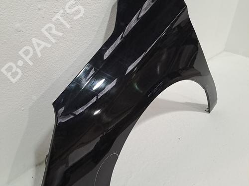 Left front fenders CITROËN C4 II (NC_) 1.6 BlueHDi 100 | BP24402650C41