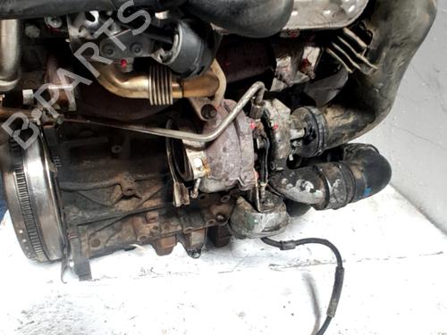 Engine VW PASSAT B6 (3C2) 2.0 TDI 16V | BP32436274M1  - Image 6