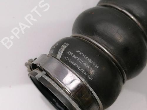 Pipe CITROËN C-ELYSEE (DD_) 1.6 BlueHDi 100 | BP23405431M125 