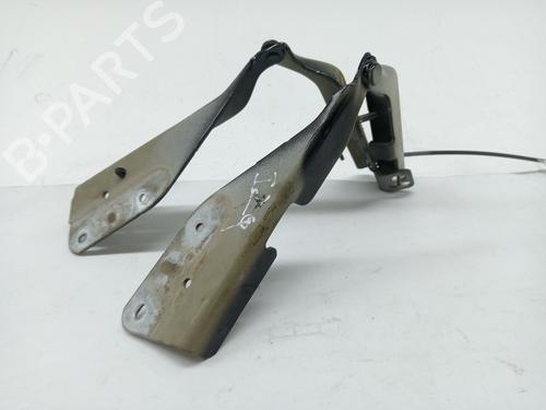 Hinge/Door check strap CITROËN C3 I (FC_, FN_) 1.4 HDi | BP24108940C146 