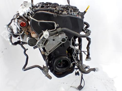 Engine AUDI A3 (8V1, 8VK) 1.6 TDI | BP33761591M1 - Image 13