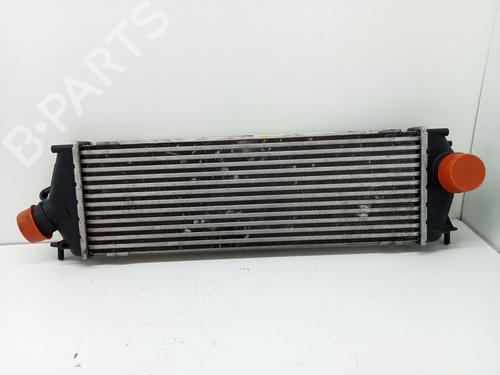 Intercooler NISSAN PRIMASTAR Van (X83) 2.0 dCi 90 | BP28179310M30 