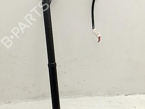 Used Tailgate lift support Tailgate lift support TOYOTA RAV 4 IV (_A4_) 2.5 Hybrid (AVA42_) (197 hp) 34351036 34351036