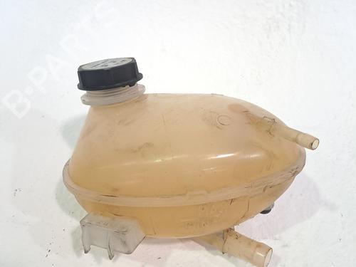 Expansion tank FORD ECOSPORT 1.0 EcoBoost | BP29025221C120 
