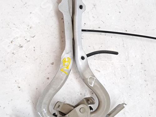 Hinge/Door check strap PEUGEOT EXPERT Van (V_) 1.6 BlueHDi 95 | BP28960024C146 