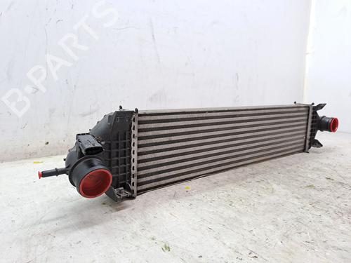 Intercooler FORD KUGA II (DM2) 1.6 EcoBoost | BP23366369M30