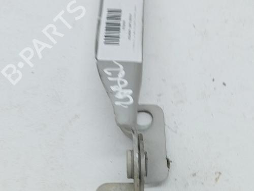 hingedoor-check-strap-citroen-c3-ii-sc_-2009-36026768 main image