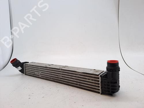 Intercooler RENAULT MEGANE II Saloon (LM0/1_) 1.5 dCi (LM0F, LM0T, LM2B) | BP28037274M30 