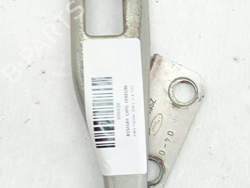 hingedoor-check-strap-ford-fiesta-v-jh_-jd_-2001-2002-2003-2004-2005-2006-2007-2008-2009-2010-2011-2012-2013-2014-32336253 main image